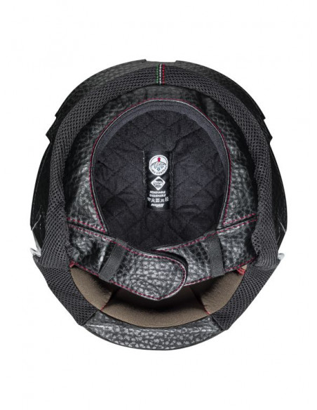 SNEMLJIVO OBLAZINJENJE N21