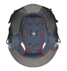 SNEMLJIVO OBLAZINJENJE GJ2