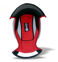 SNEMLJIVO OBLAZINJENJE N86